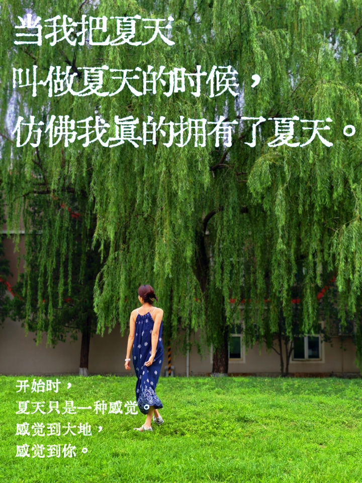 夏日心动瞬间