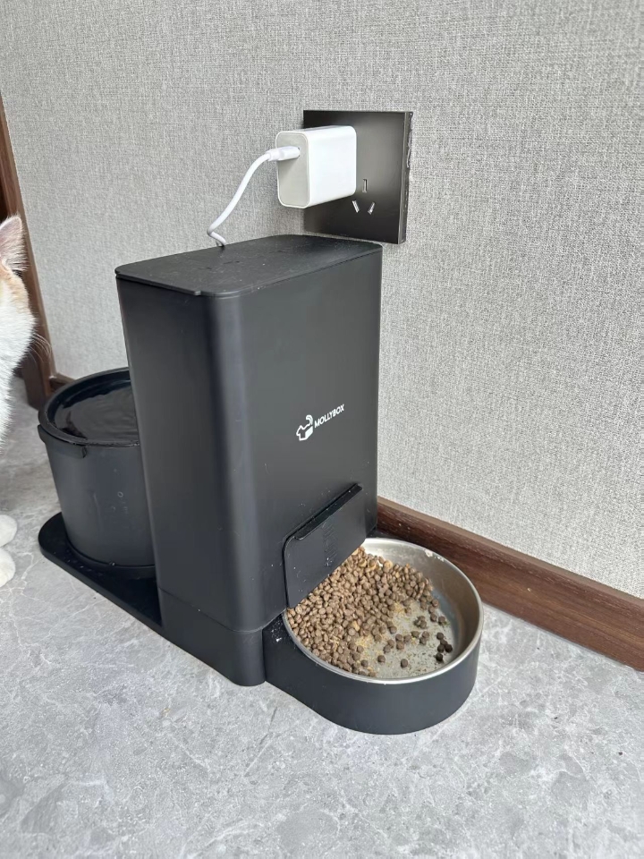 自动喂食机和饮水机怎么样，好用吗？