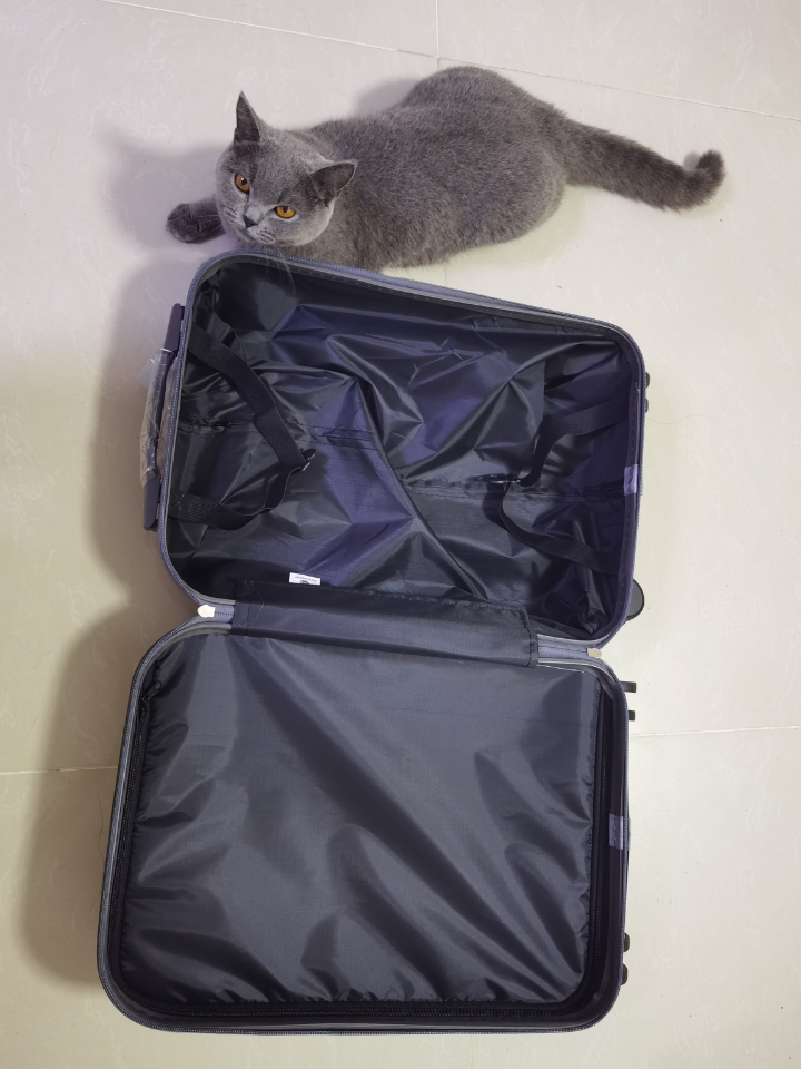 250712妹猪vs20寸行李箱