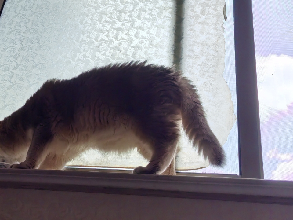 7.13今今