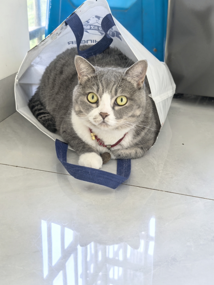 15口袋