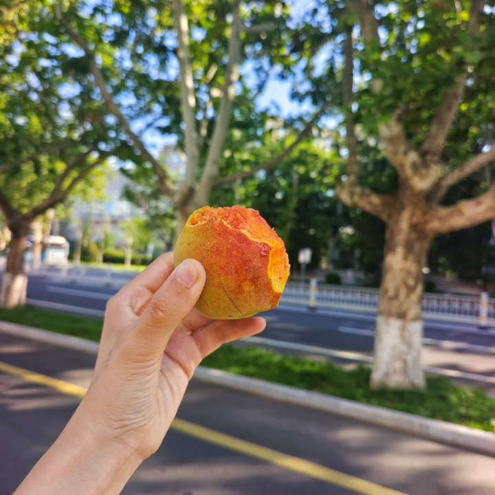 夏天的感觉