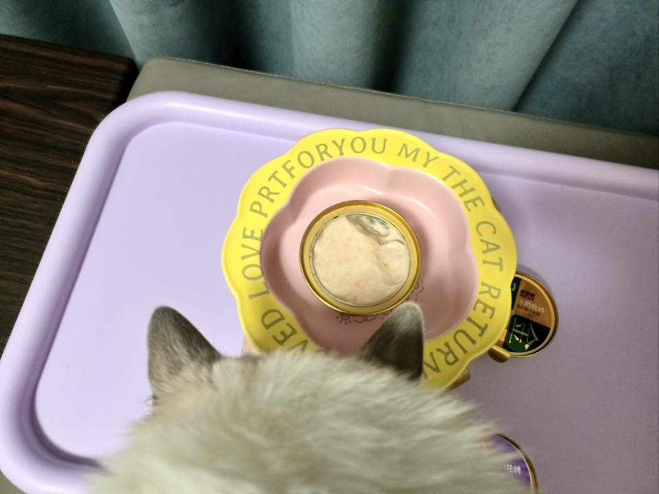 香喷喷的小猫罐罐，灰灰特别喜欢吃，一开罐就冲过了，没多久就吃光了，明天再开一个！