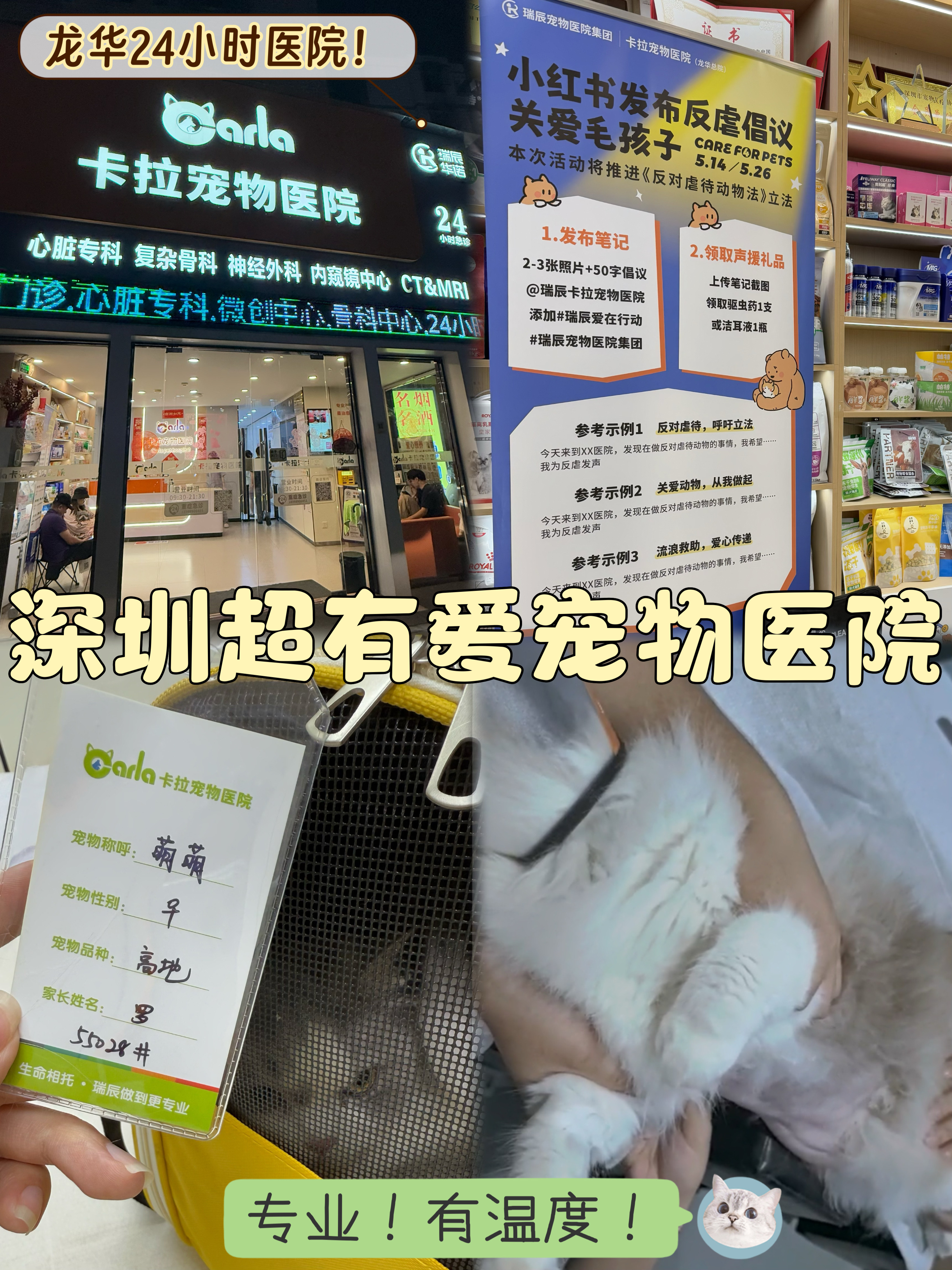 私藏级宠物诊疗好去处，粤B猫友看过来