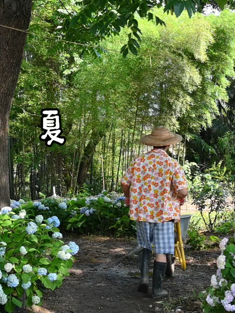 不上班，不社交，在村里躺平养老