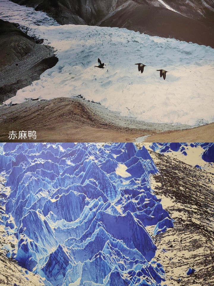 西五街