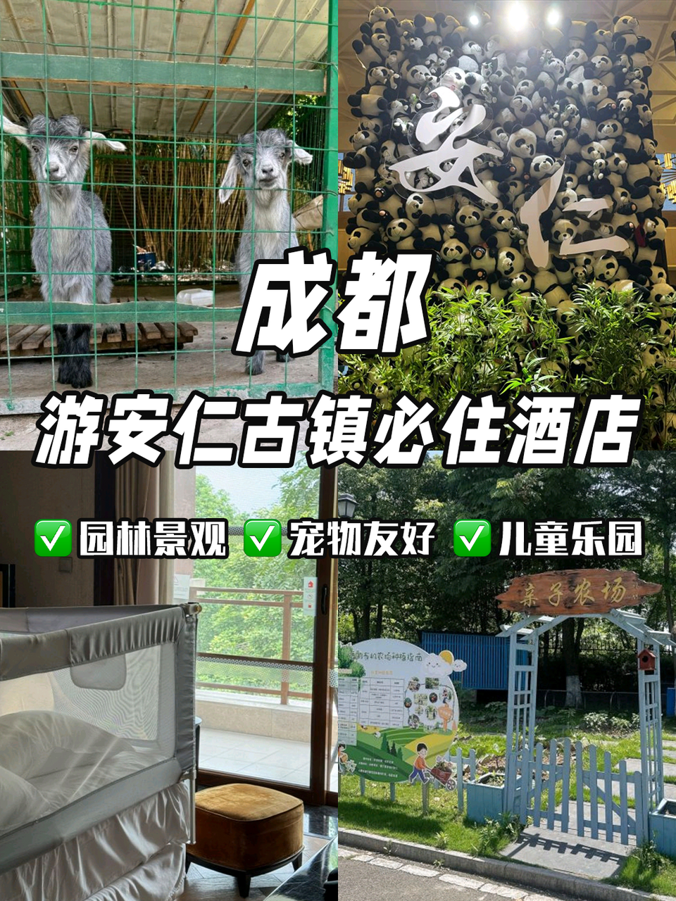 住进古镇对面的园林小院