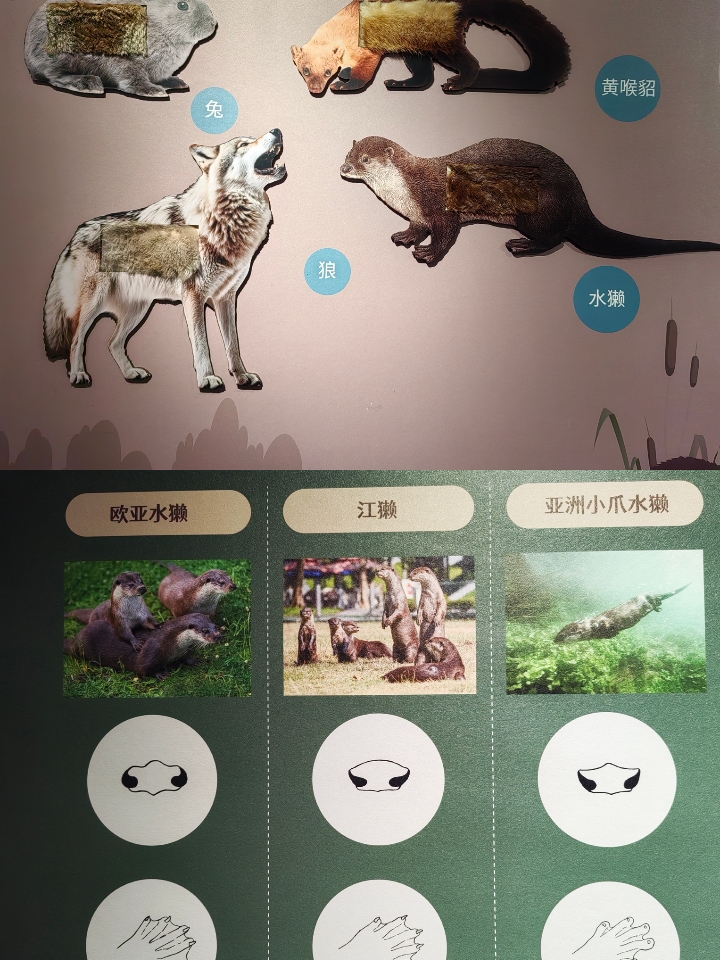西五街