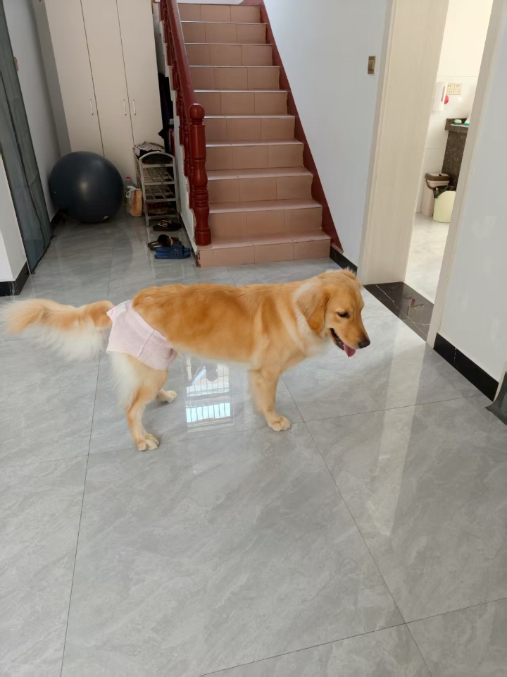 西五街