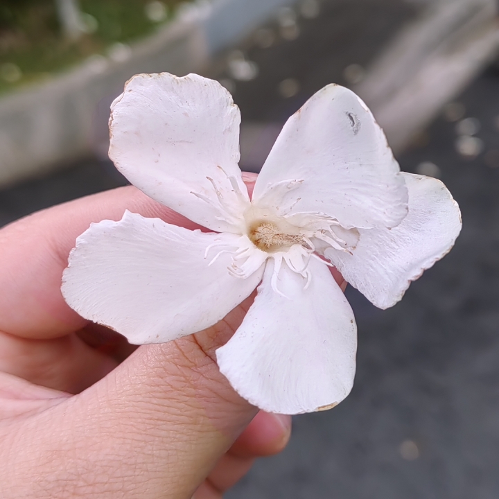 原来金祝路是为了纪念两位抗金勇士！