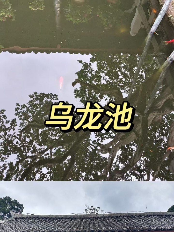西五街
