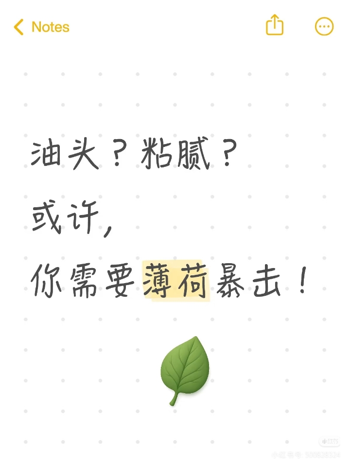 油头救星！薄荷爆凉感原地封神✨