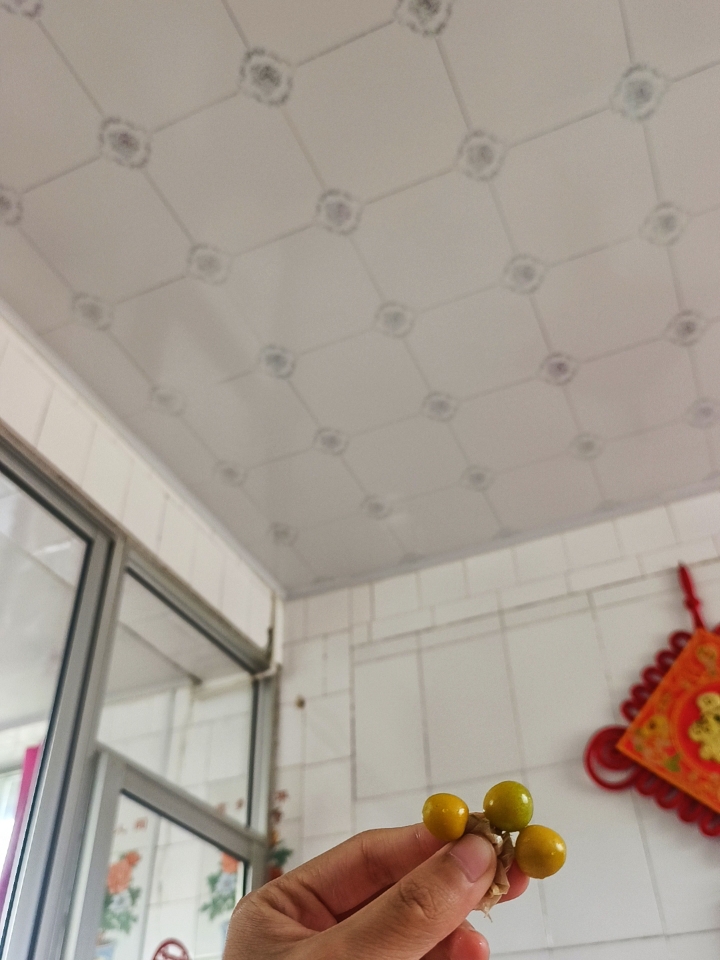 自家种的姑鸟～