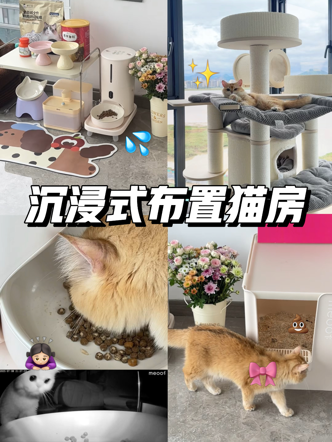 沉浸式布置猫房vlog🐈✨精致懒人养猫必备🏠