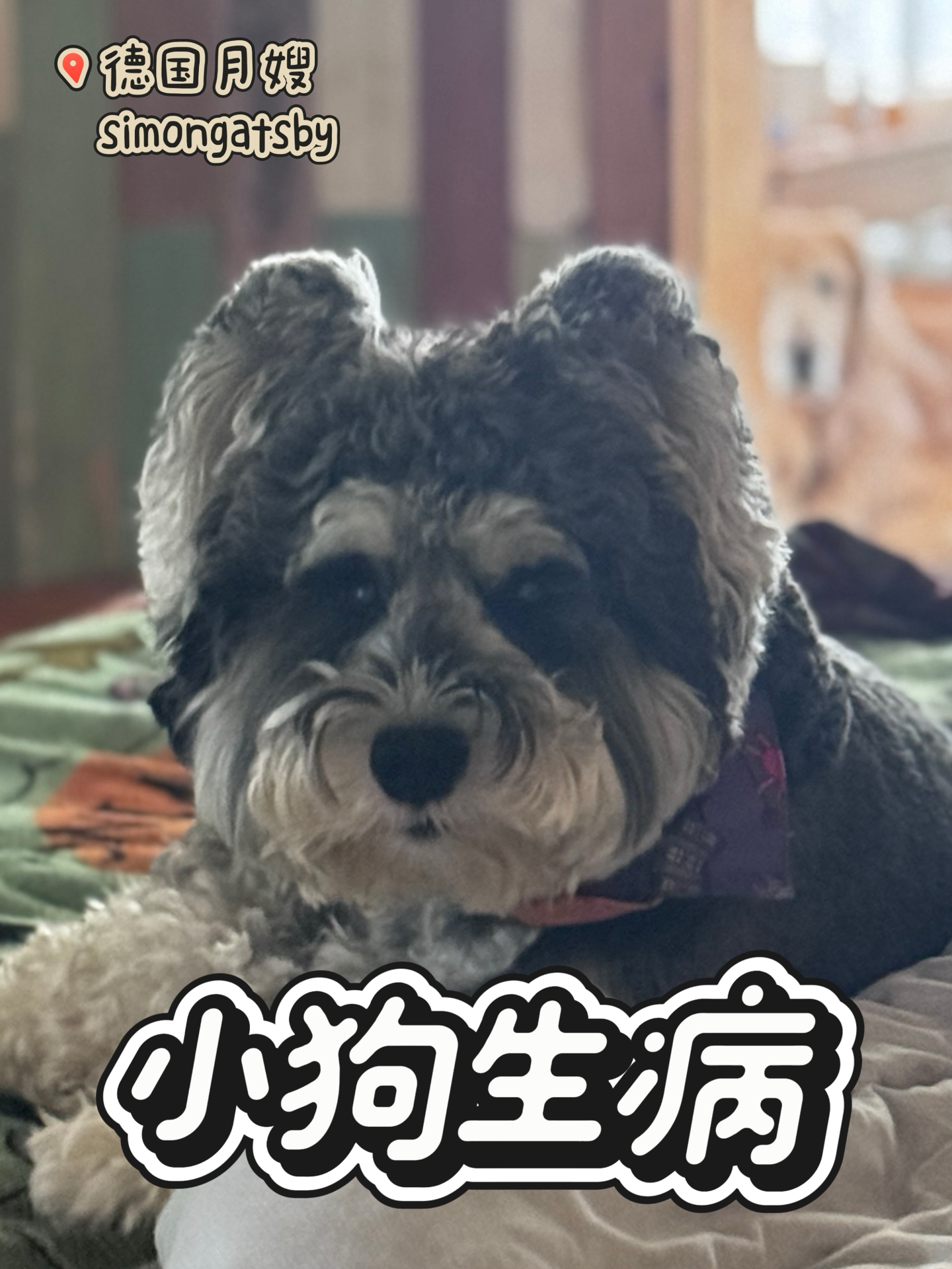 生个小病给妈妈