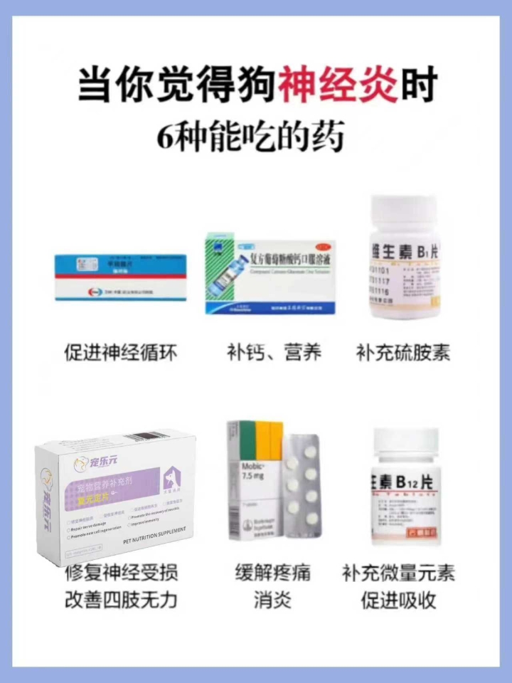 狗狗得了神经炎，通常会导致走路不稳，走起路来摇摇晃晃，四肢无力浑身抽搐，食欲不振，经常不吃不喝严重还会引起呕吐甚至瘫痪死亡，如果您家狗狗得了神经炎，可以吃一下几种药物来恢复，甲钴胺片、维生素B1、维生素B12、复元定片和大活络丸、葡萄糖酸锌口服液