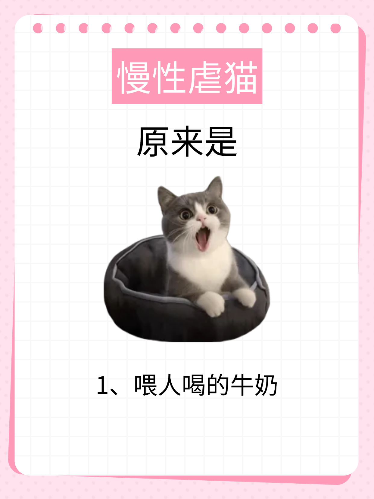 乱喂=害猫！幼猫羊奶粉喂养注意事项
