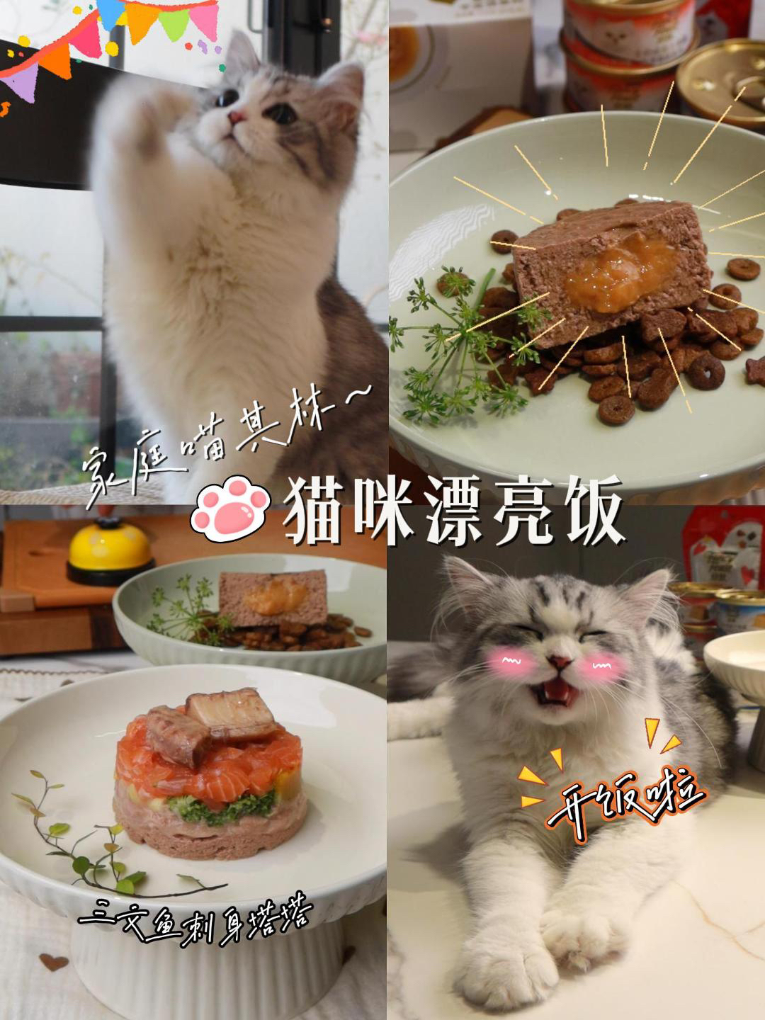 给毛孩子的精致法餐🐱舔盘级别喵其林时刻