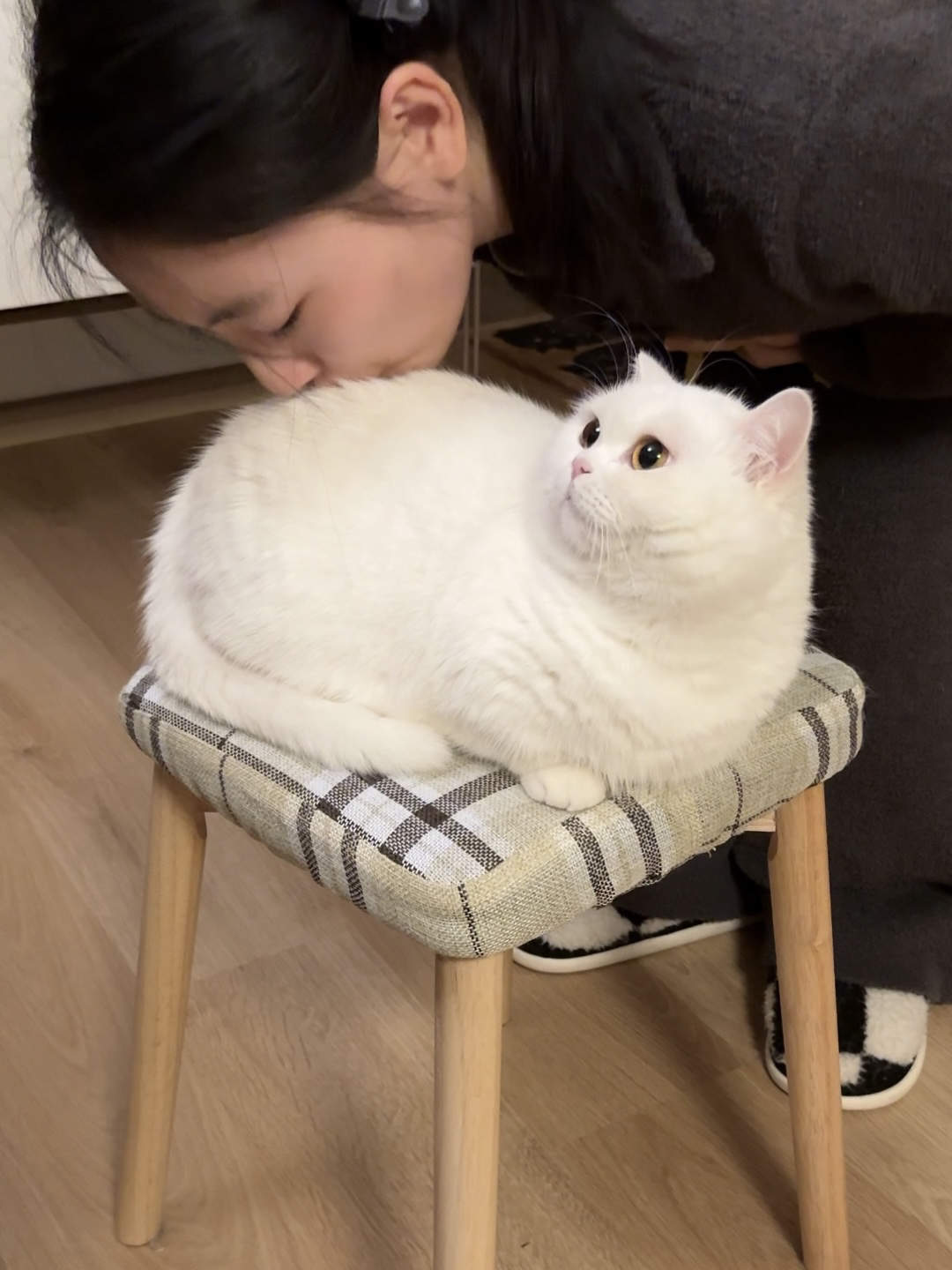 来自人类的啃腚！