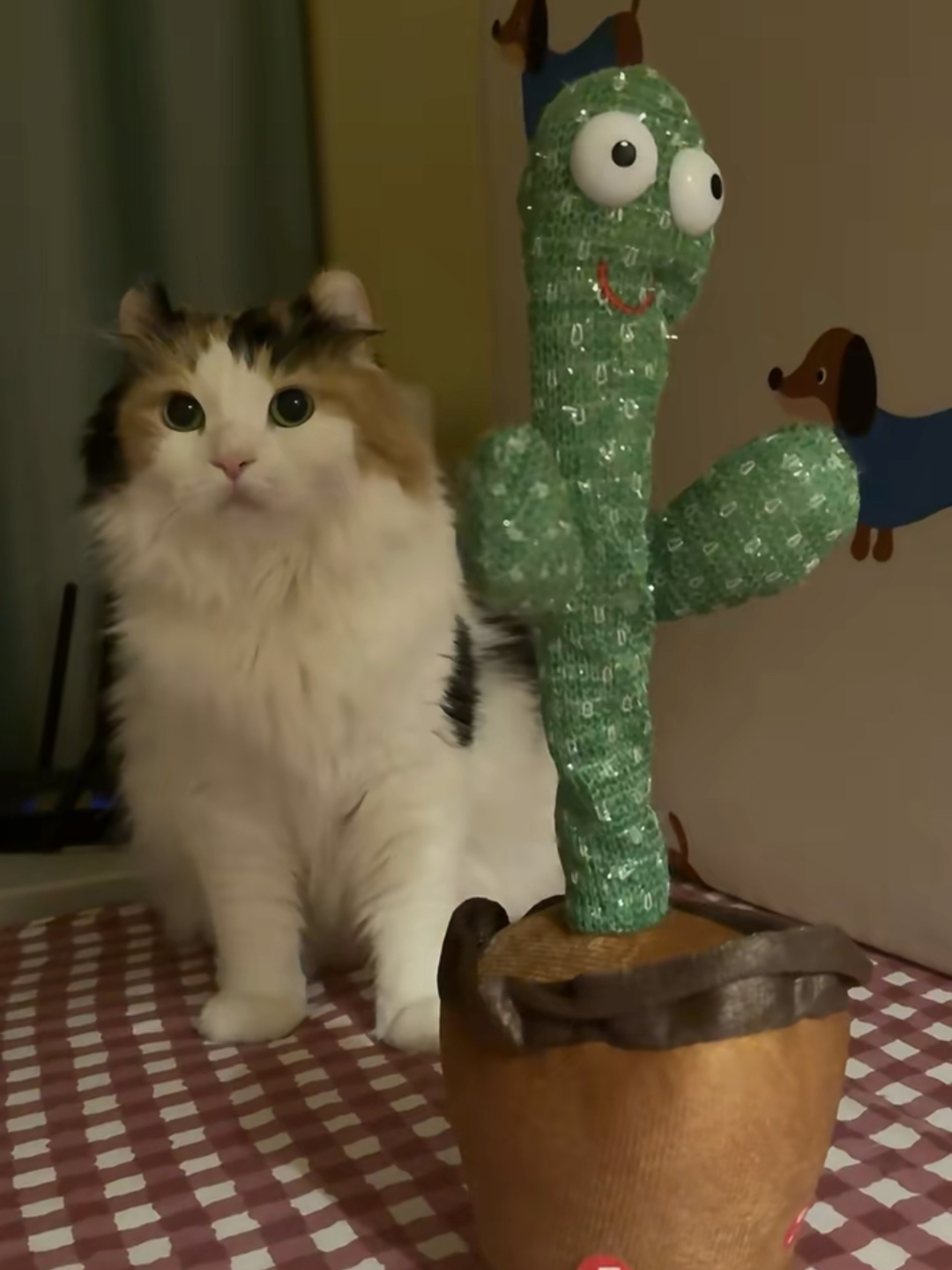 “对方撤回了一只小猫😺”