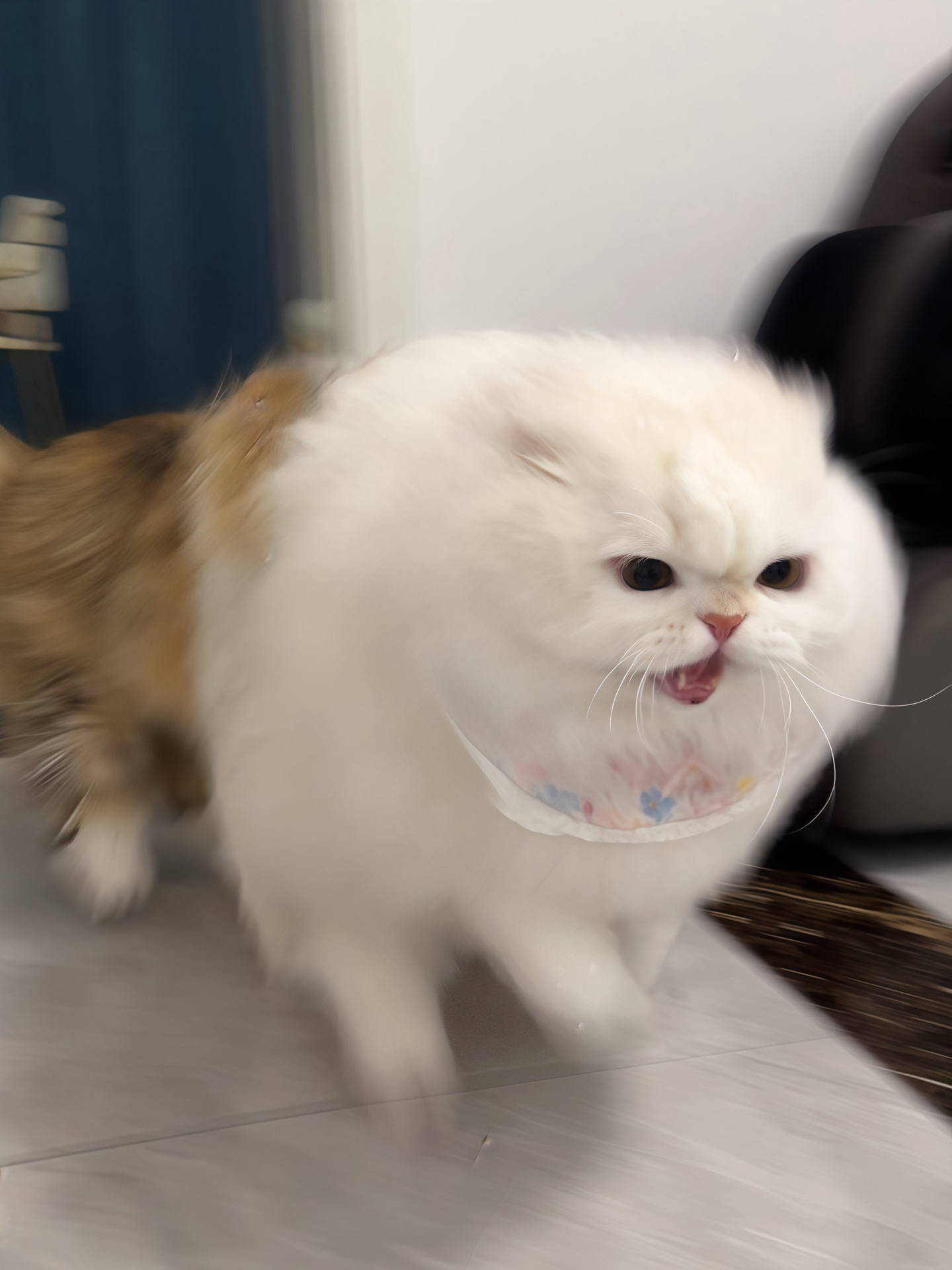 谁又惹他了？！