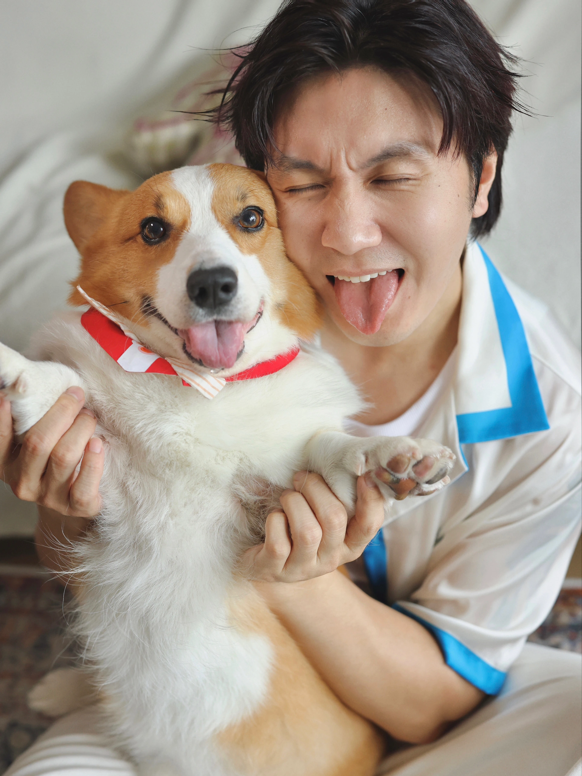 谁能拒绝小狗的贴贴呢？🐶💕