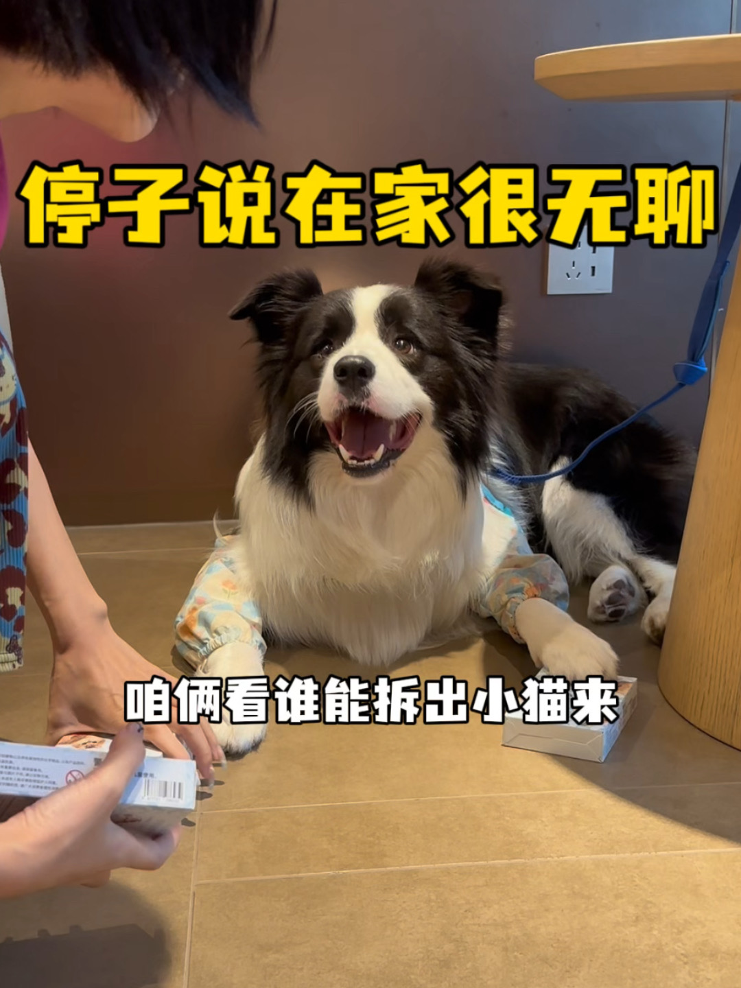 停子哥啊，经常说些让我意外的话～