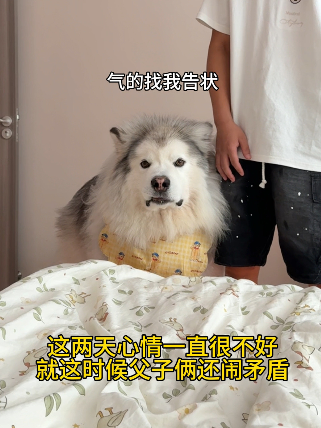 后来才知道..原来他们是故意吵架逗我开心