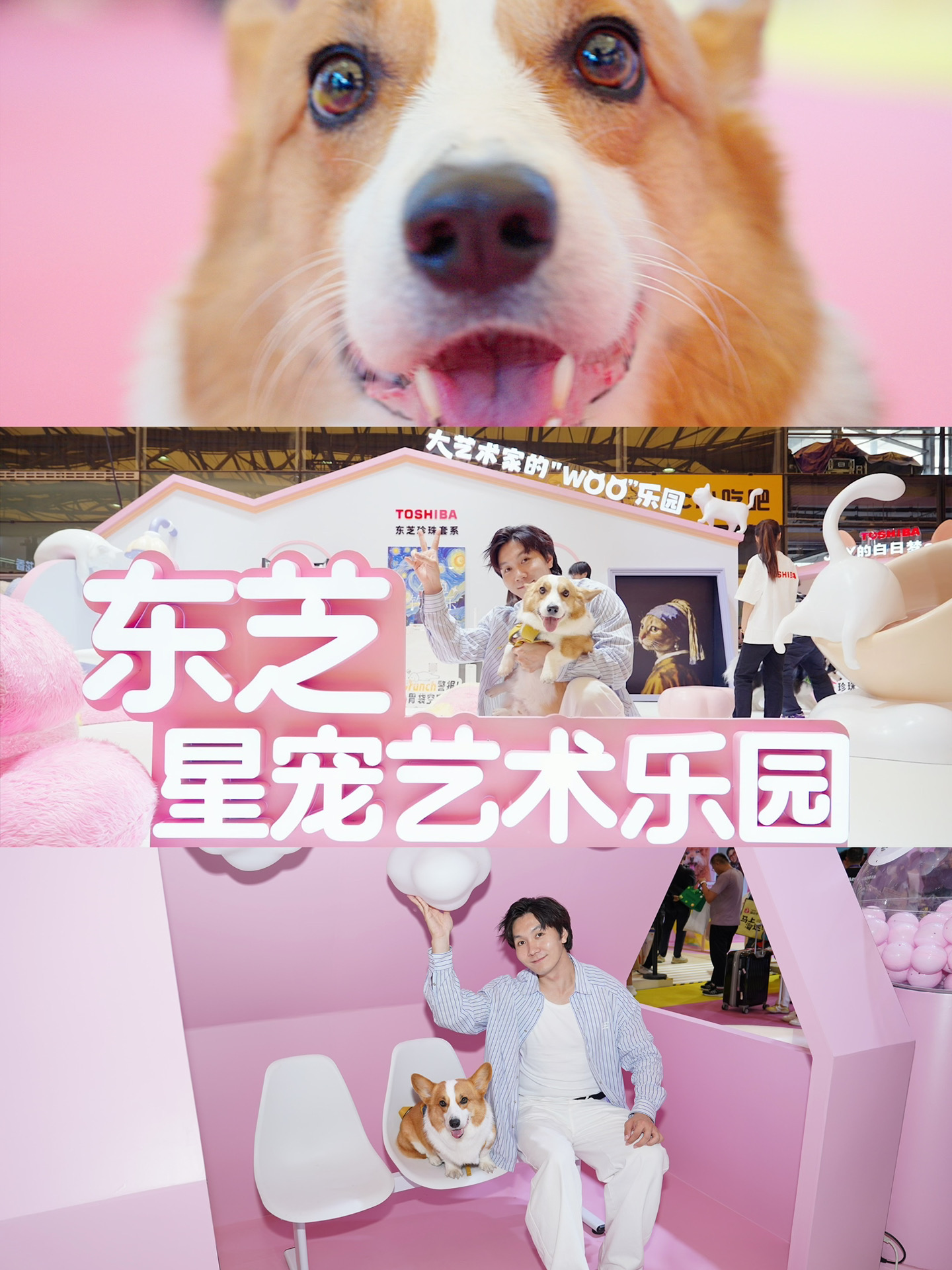 和小狗一起，收集亚宠展的温柔💕