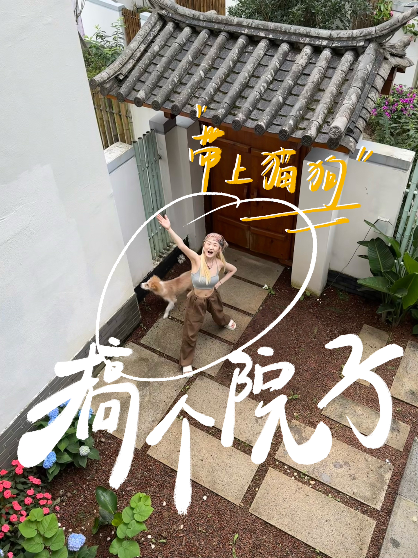 1人1猫1狗：去云南山里搞个别墅住住！