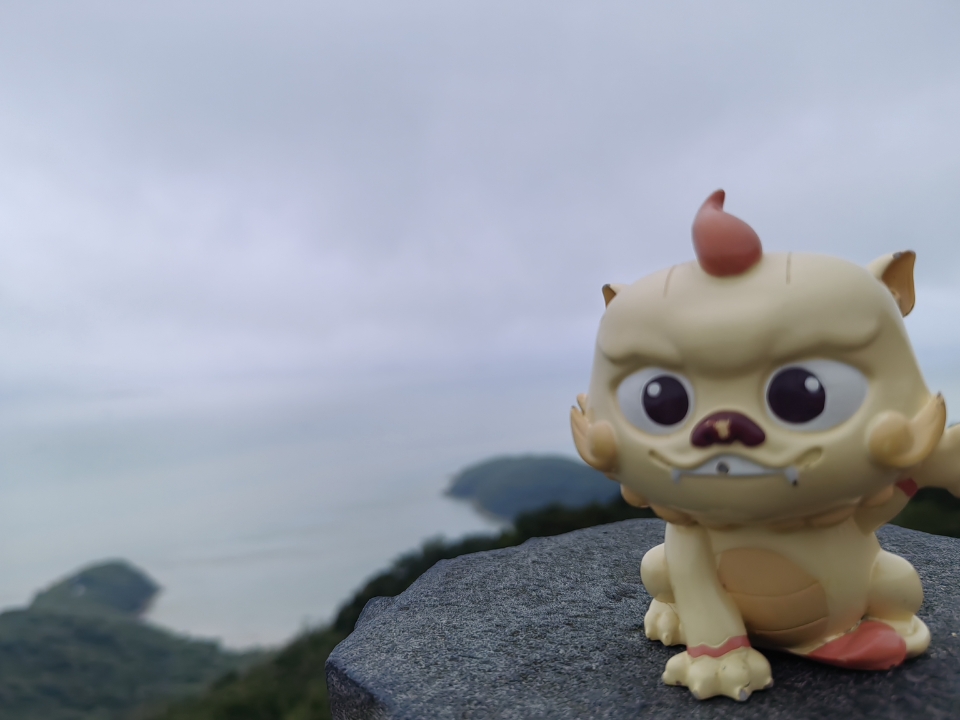 云宠物上线