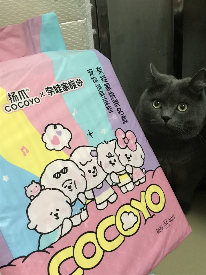 Cocoyo宠物尿垫（奈娃家族联名款）测评📝