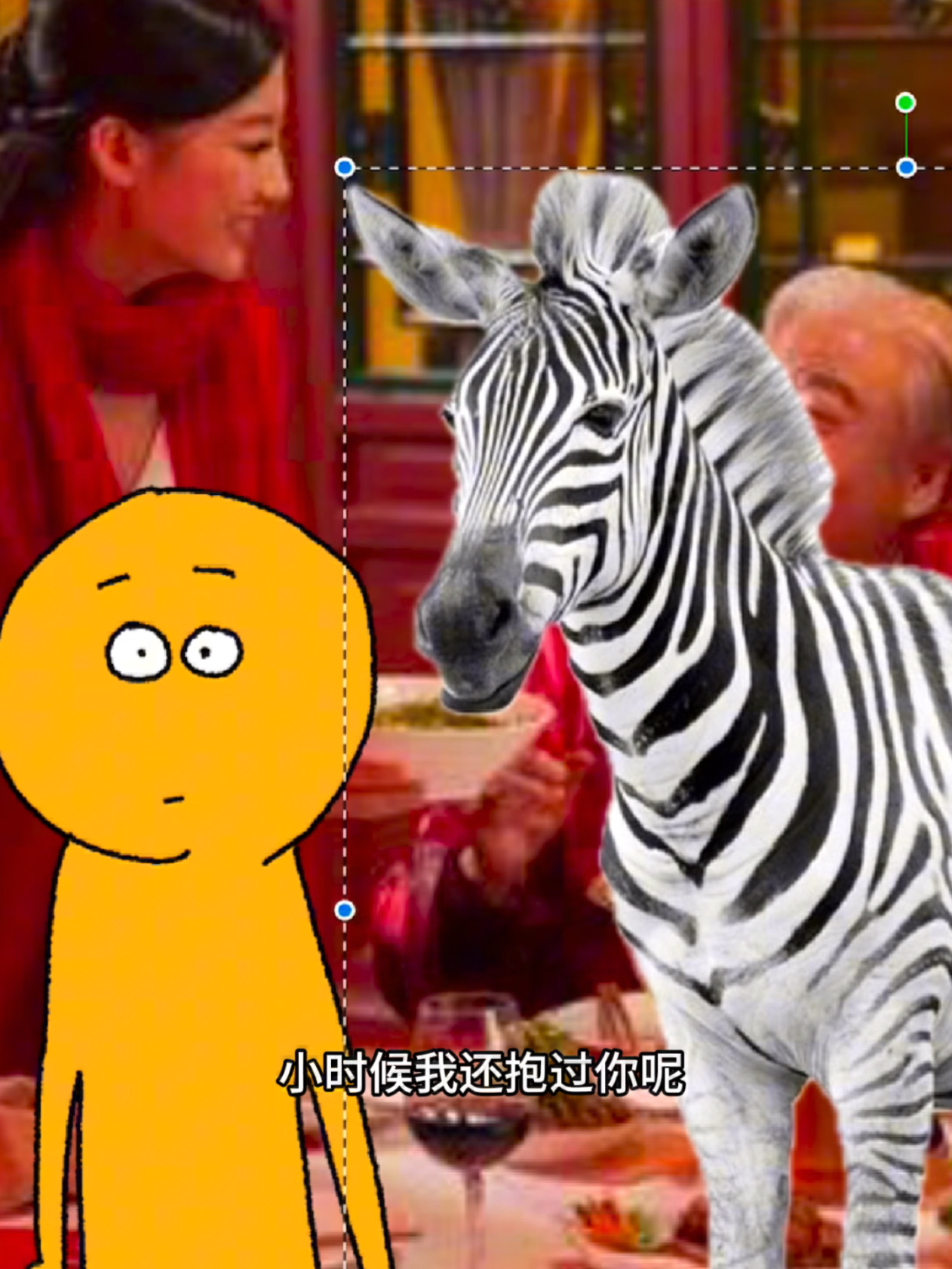 【非洲】斑马你怎么背着我偷偷玩宅斗啊？？