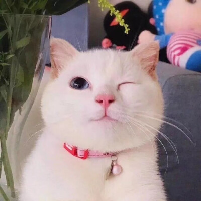 评论