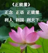 评论