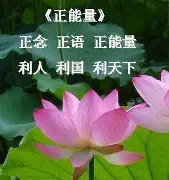 评论