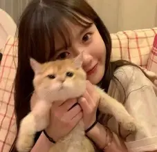 评论