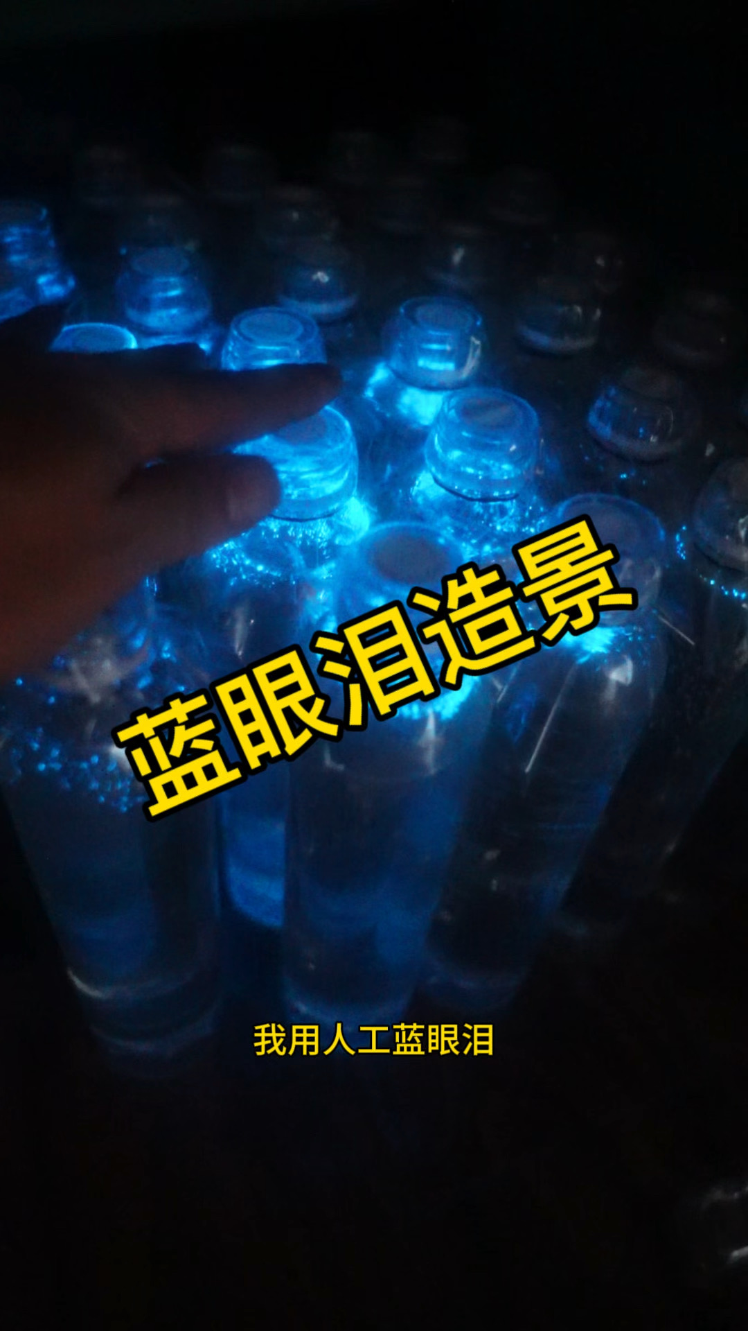 我用能发光的蓝眼泪做了一套奇幻的鱼缸造景