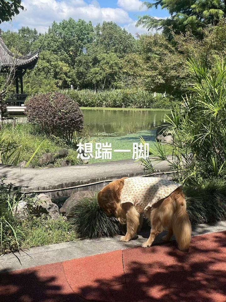 西五街