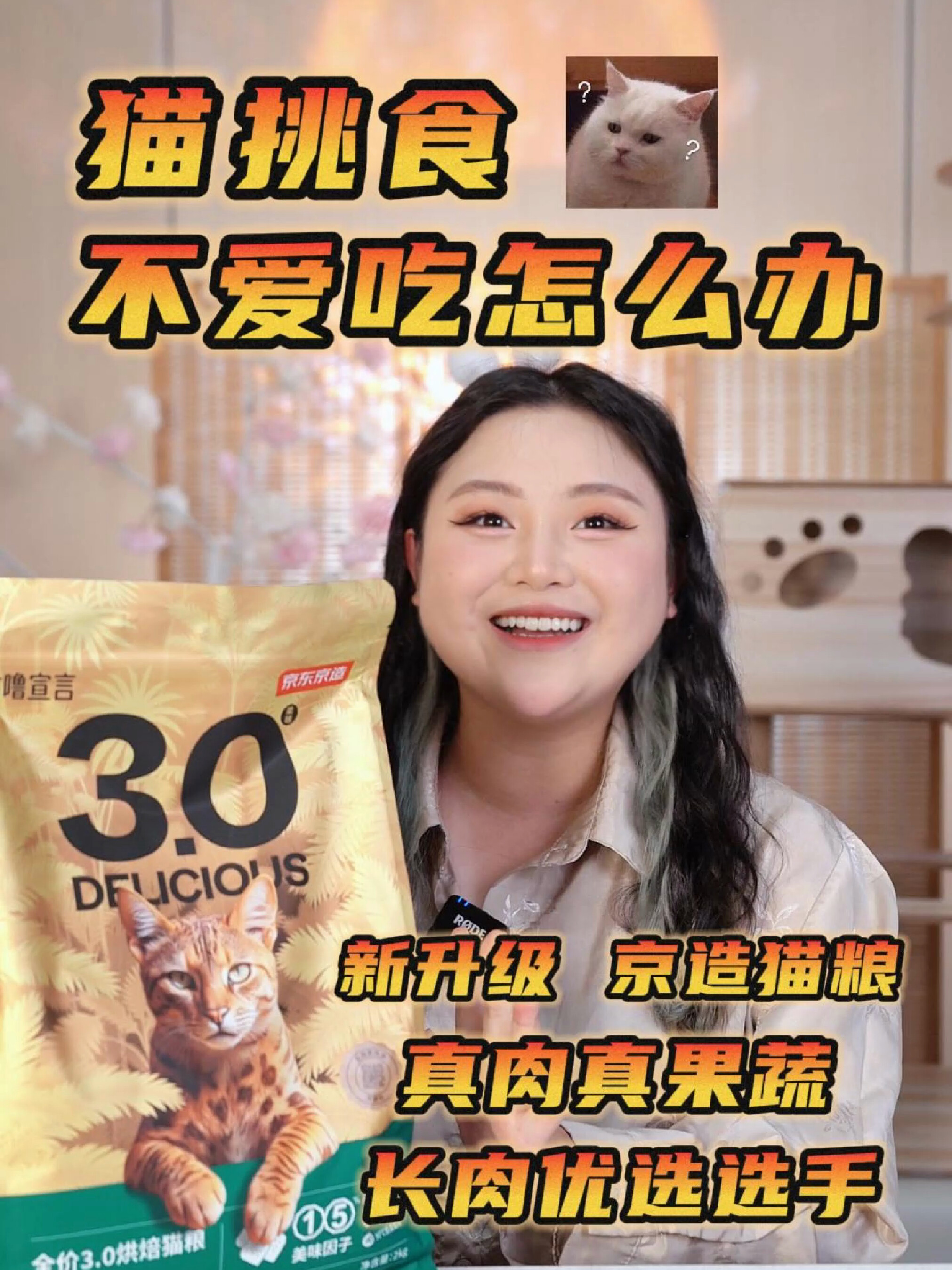 猫挑食不爱吃就是你惯的