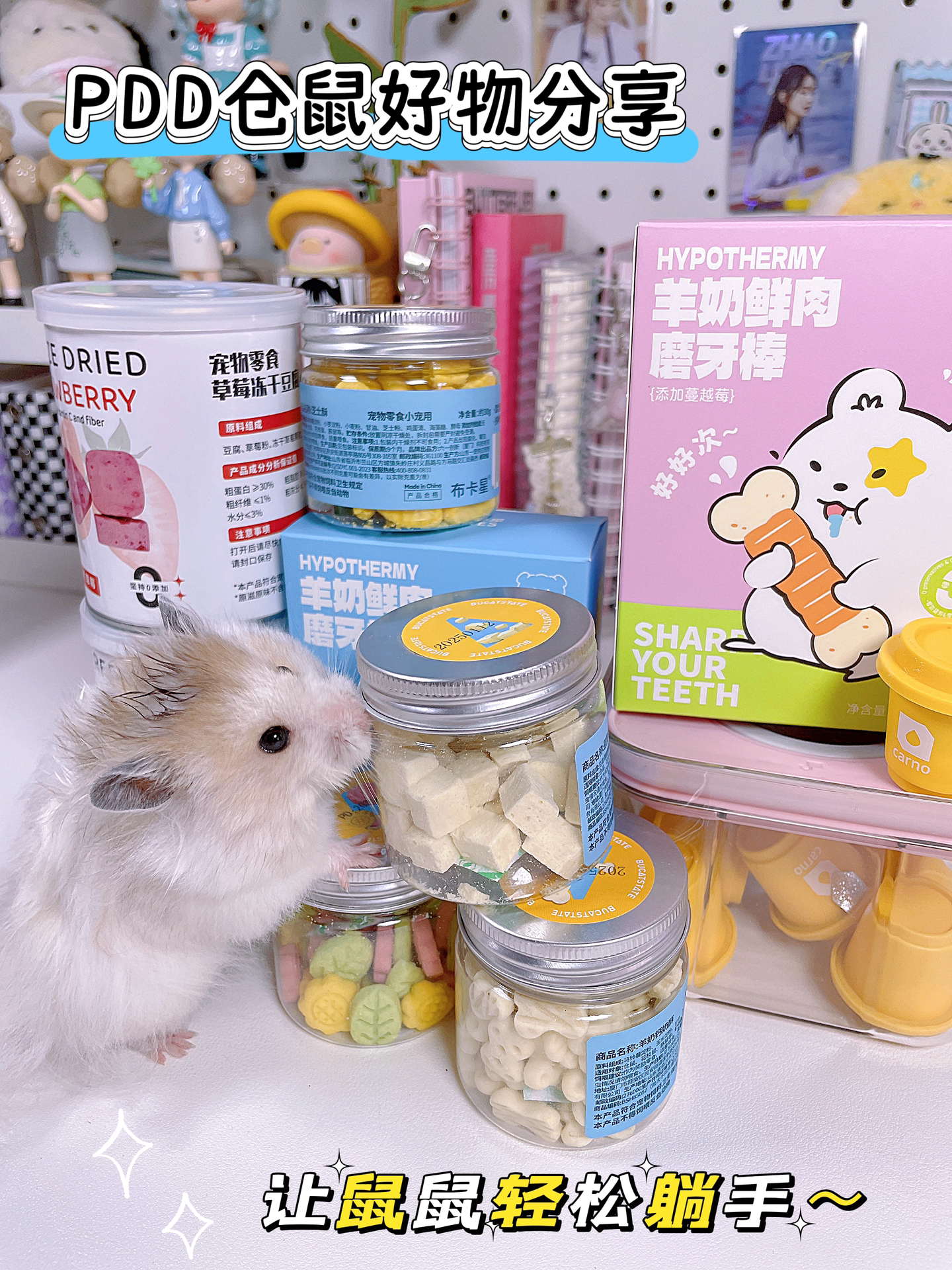 仓鼠躺手手神器🐹Pdd仓鼠平价零食分享