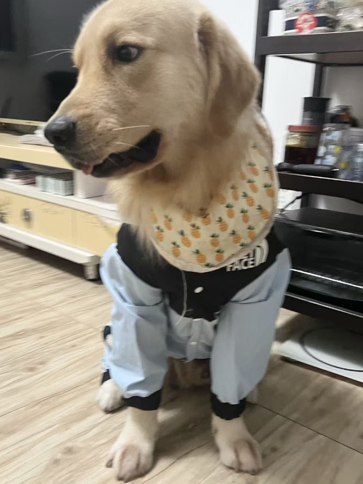 我家狗狗今年8岁，体重8kg，是个男孩子 - 症状：突然发病，倒地抽搐，惨叫，不让任何人碰，走路弓背，脖子僵硬，双腿无力发软但是没有瘫痪，勉强还可以走路 - 带去医院检查之后，医生只说可能是神经炎，想要确诊还是需要去大医院做核磁，打听了一下，做一次需要几千块，而且我们省内的宠物医院好像也没有这种设备。没办法我只好四处打听，查资料，得到了一个治疗方案。 给狗狗吃了两个星期左右，狗狗的精神状态就有明显...