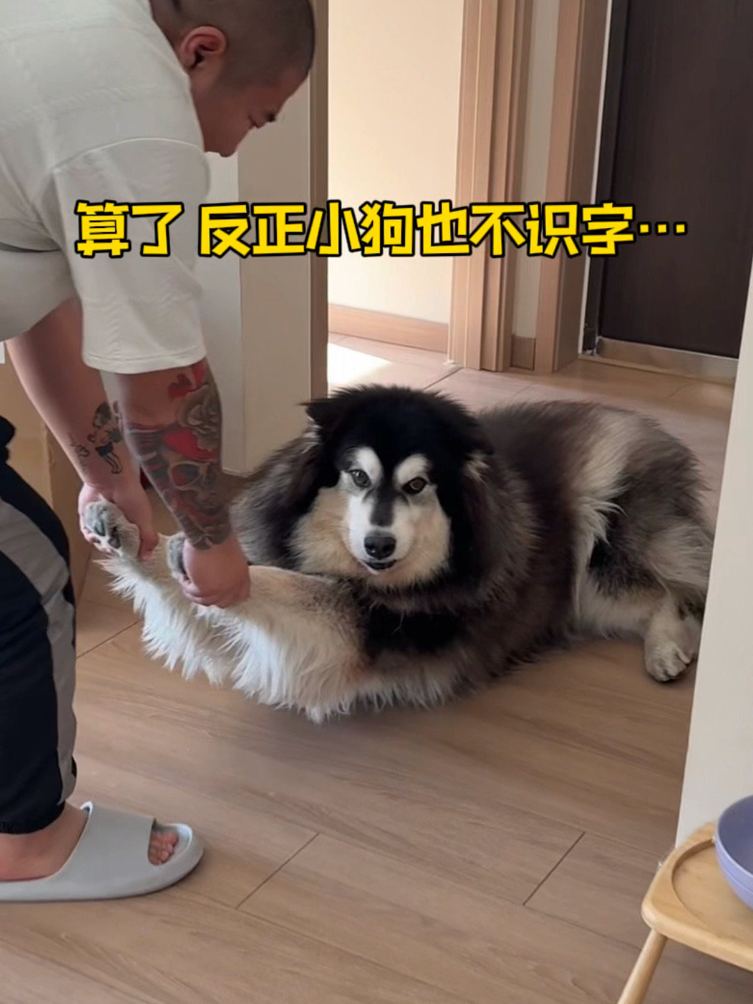 小狗你逃脱不掉洗澡的！