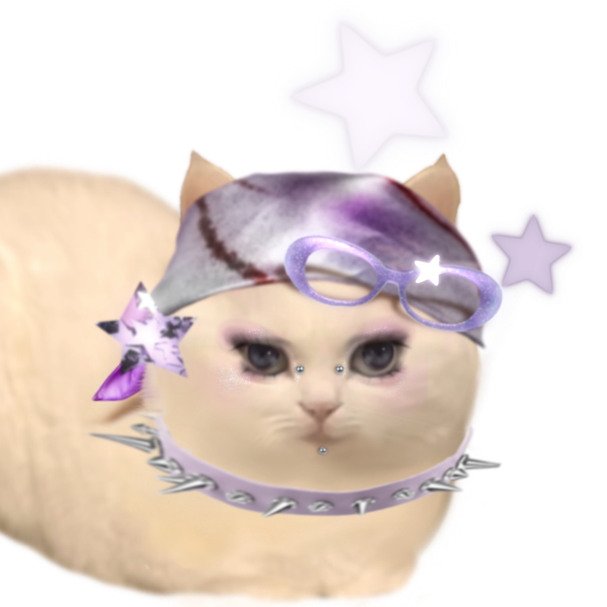 猫咪の妆容积累