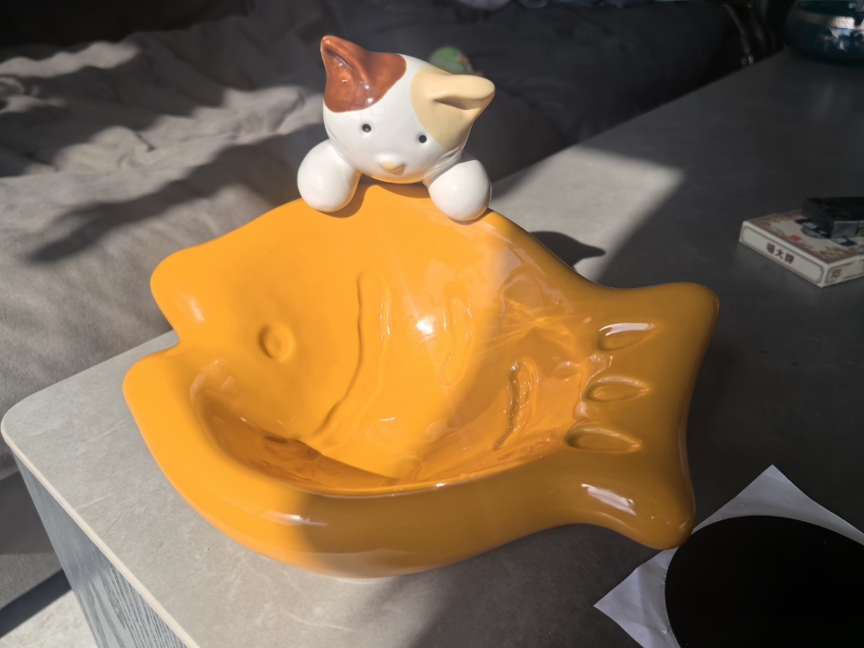 想要占为己有的可爱小鱼