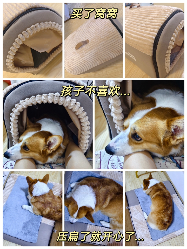 新窝
