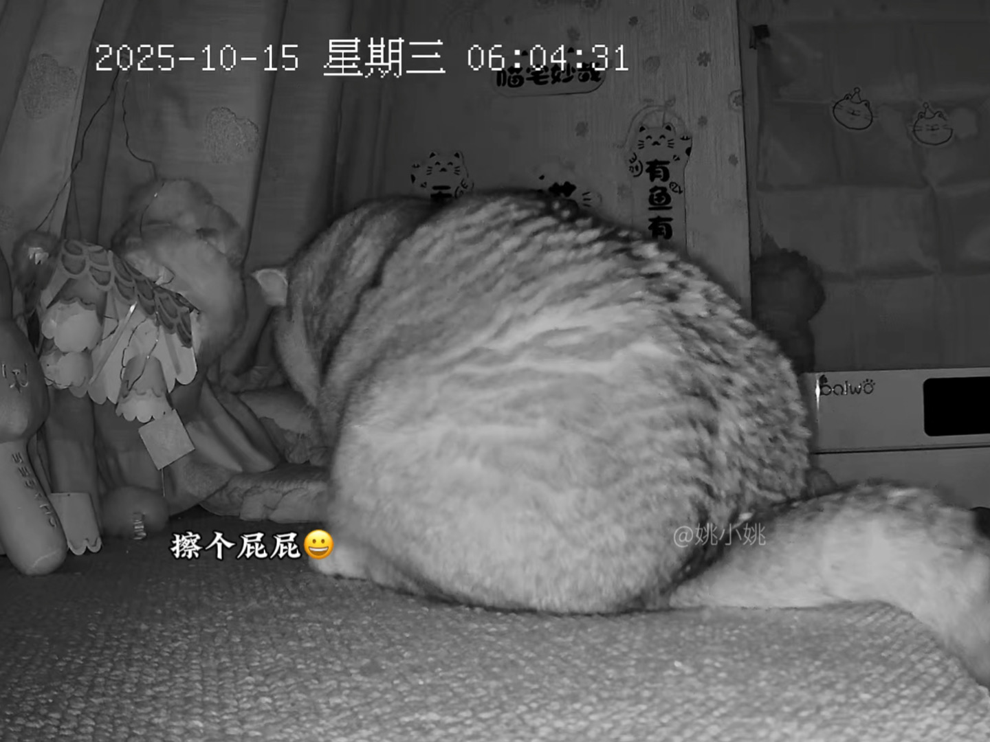 减肥第六天，粉丝都担心你饿坏了