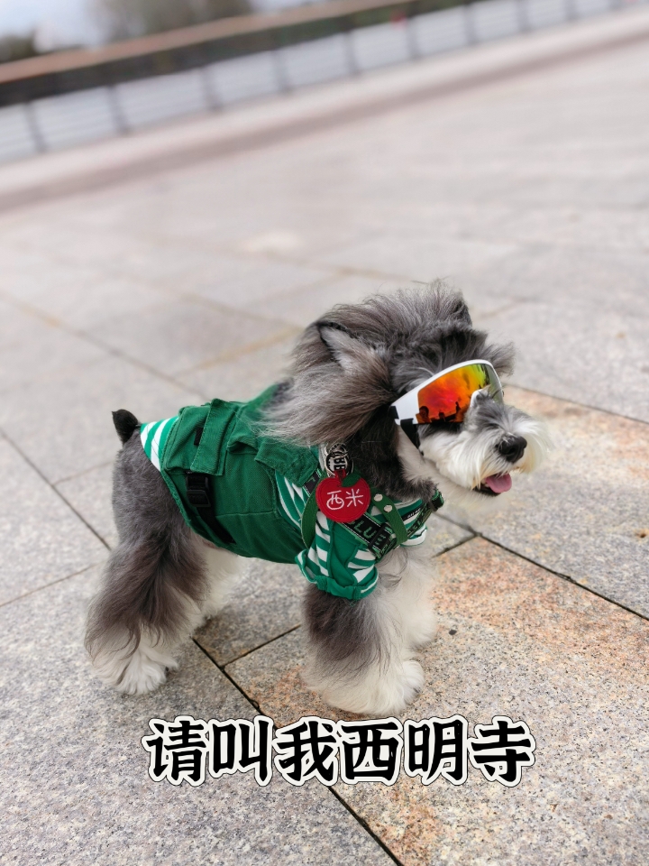 西五街