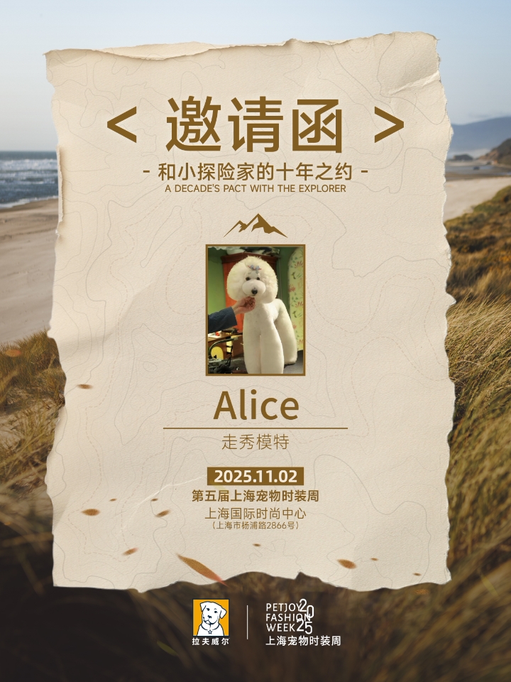 Alice加油