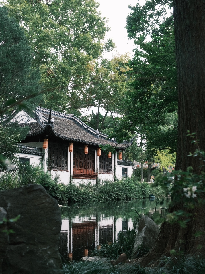 苏州园林很好，但上海这座，是我的私藏🍂